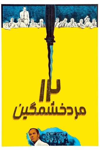۱۲ مرد خشمگین